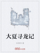 大夏寻龙记在线阅读