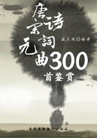 唐诗宋词元曲300首鉴赏（中华古文化经典丛书）