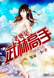 老婆是武林高手