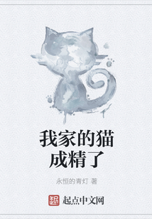 我家的貓成精了
