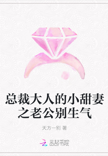 總裁大人的小甜妻之老公別生氣