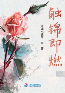 觸錦即燃