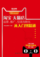 淘宝天猫店运营、推广、引流与转化从入门到精通