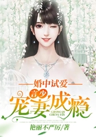 婚中試愛(ài)：言少寵妻成癮在線閱讀