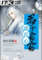 君子窈窈惑君心在线阅读
