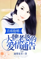 首席抢婚:大牌老婆的爱情通告在线阅读