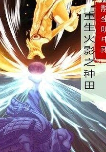 重生火影之種田
