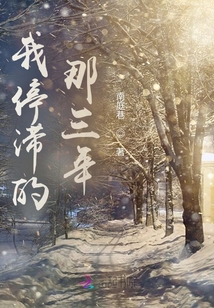 我停滯的那三年