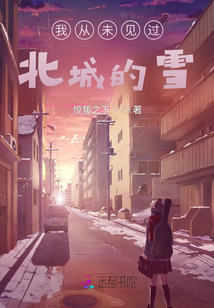 我從未見過北城的雪