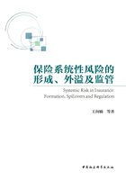 保险系统性风险的形成、外溢及监管在线阅读