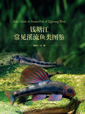 钱塘江常见溪流鱼类图鉴在线阅读