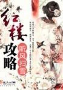 紅樓攻略