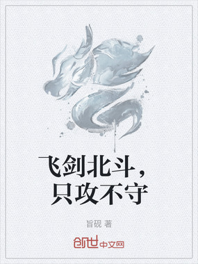飞剑北斗,只攻不守在线阅读