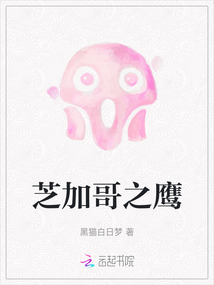 芝加哥之鷹