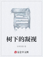 樹下的凝視在線閱讀