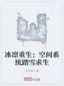 Binglin's Rebirth: Space System Survives in the Snow