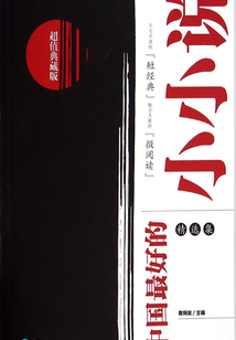 中國最好的小小說