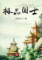 極品國士在線閱讀