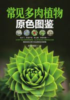 常见多肉植物原色图鉴