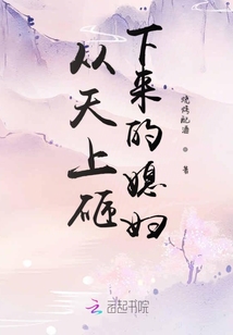從天上砸下來的媳婦