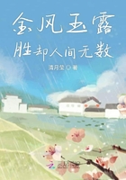 金風玉露勝卻人間無數在線閱讀