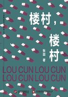 楼村,楼村在线阅读