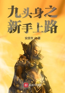 九頭身之新手上路