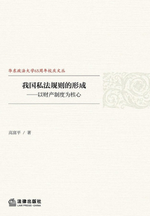 我國私法規則的形成：以財產制度為核心