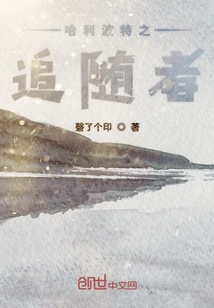 哈利波特之追随者