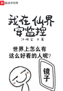 我在仙界安监控