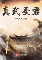 真武圣君在线阅读