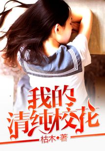我的清纯校花