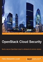 OpenStack Cloud Security在线阅读