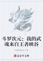 斗罗次元:我的武魂来自王者峡谷