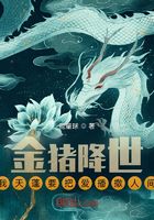 金豬降世，我天蓬要把愛播撒人間在線閱讀