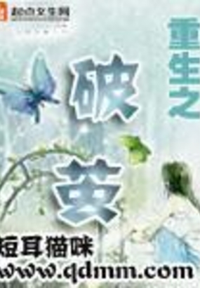 重生之破茧在线阅读