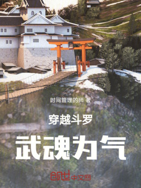 穿越斗罗,武魂为气在线阅读