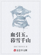血引玉,暮雪千山在线阅读