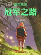 都市精灵:冠军之路在线阅读