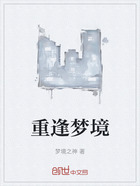 重逢梦境在线阅读