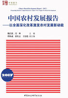 中国农村发展报告（2017）：以全面深化改革激发农村发展新动能在线阅读