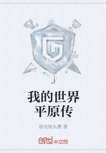 我的世界平原傳