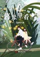 在暮光里看雪在線閱讀