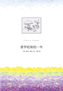 普羅旺斯的一年