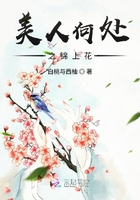 美人何處之錦上花在線閱讀