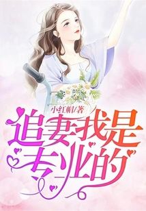 追妻我是专业的