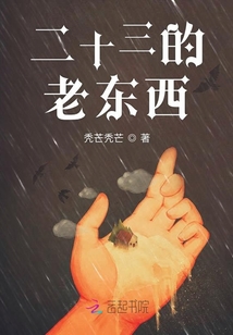 二十三的老東西