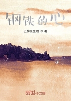 钢铁的心