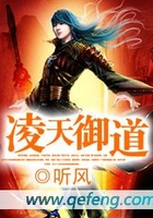凌天御道