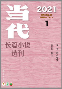 當(dāng)代長篇小說選刊(2021年1期)